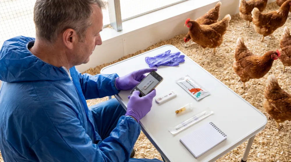 Sabervet Salmonella Antigen Rapid Test